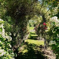 Rosenlaube im Pirminiusgarten, Blieskastel