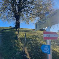 Freithofberg-Trail - Maria Neustift