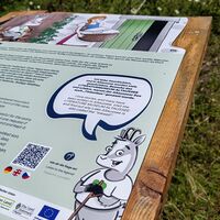 SAGENWEGAUGSTI_Wildfrauen_Wanderaugsti©Kulturfux.jpg
