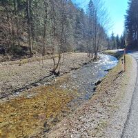 entlang des Klausbaches auf der L4057