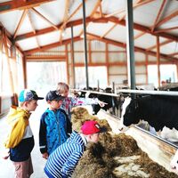 Kuhstall