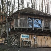 Robins Nest