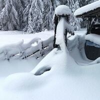 Im Schnee auf die Packeralpe