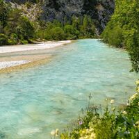 Wanderung zur Scharnitzer Alm - Isar mit Blumen im Vordergrund - Hochformat.jpg
