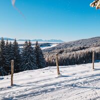 Winterlandschaft Saualpe
