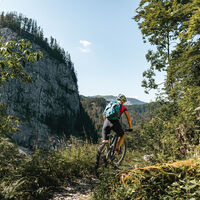 Abwechslung am Singletrail
