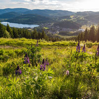 Blick vom Hochfirst