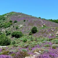 Rando_Roquandouire_-_Gilles_Delerue_15