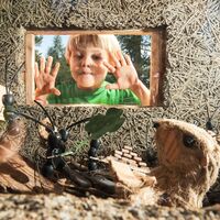 Der Murmeltierpfad ©Archivio Funivia Ciampac e Contrin S.p.A.