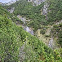 Blick vom Trampelpfad nach oben.
