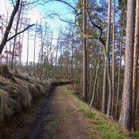 Weg in Richtung Spinne
