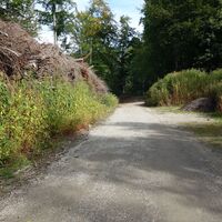 am Stauden- und Quellenweg