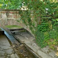 Weinbergwanderung Kaysersberg Sigolsheim