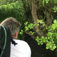 Natur-Erlebnis-Weg Iba (West-Flügel)