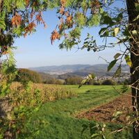 Waldshut 11