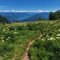 Weg auf der Roche de Chanduraz