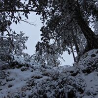 Semmering - Eselstein
