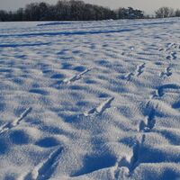 Rund um den Glockenberg ab/bis Ulrichskirchen