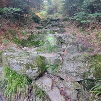 Aufstieg über den Grenzsteig zum Dreiländereck (Dreieckmark)