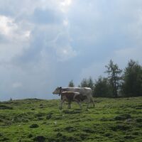 Göriacher Alm und Hochanger