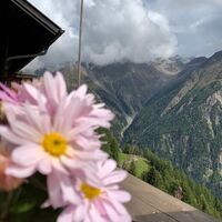 Ausblick