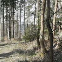 Von Blankenstein ins Höllental