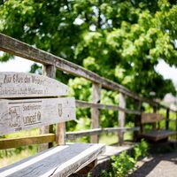 Wein Panorama Weg am Wartberg | Weinstadt Heilbronn | HeilbronnerLand