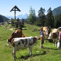 Almkreuz auf der Kallbrunnalm