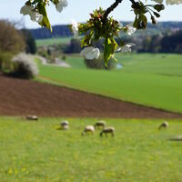 Biererlebnisweg Velburg