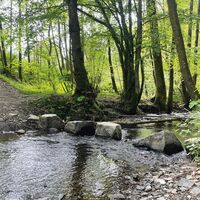 Trittsteine Westertbach Natursteig Sieg Etappe 7