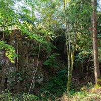 Steinbruch Knollen
