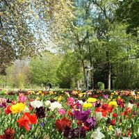 Kurpark Bad Salzdetfurth