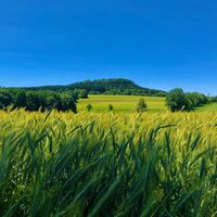 Blick oberhalb Walthersdorf auf Scheibenberg
