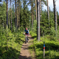Hummastinvaara 15 km Mountainbikestrecke