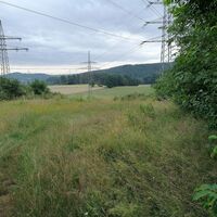 An der Gengelsbergwiese angekommen in Richtung Taubental