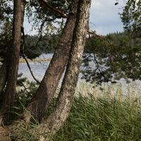 Wandergebiet Paistjärvi