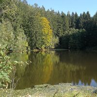 Zwischen Leubengrund und Hummelshain