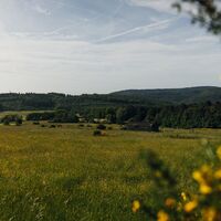 Aussicht vom Rothaarsteig bei Manderbach
