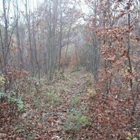 Abstieg zum Aussichtspunkt