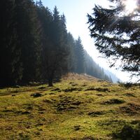 Laffernrunde am Hagertal