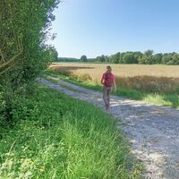 Wanderweg der Rundwanderung_Fischbach_Oststeiermark