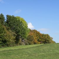 Waldshut 4