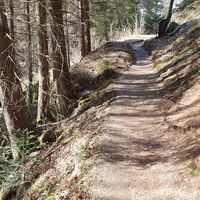 34.9 km Oben im Hellen wenden wir uns rechts zum "Leichten Abstieg"