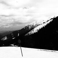 Blick auf den Sohlenkogel