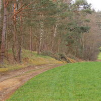 Kirchschlag i. d. Buckl. Welt - Tauchen