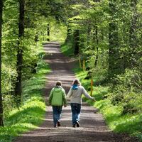 Wanderwege am Tiergarten