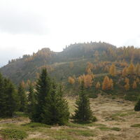 Blick zum "Gipfel" der Großlarmstange