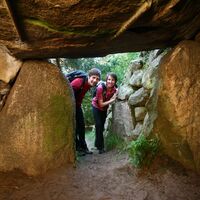 Hühnengräberstraße des Hümmlings