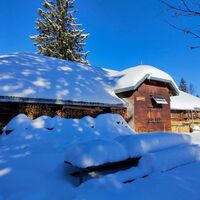 Alp Winkelzahn auf halbem Weg zur Seebenalp