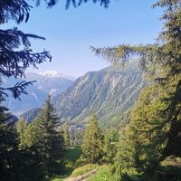 Ausblick aus dem Wald
